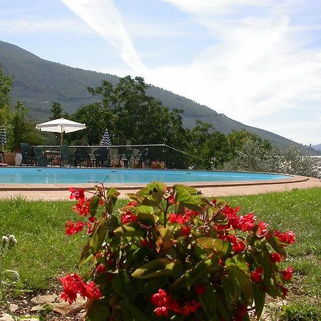 Agriturismo I Mandorli เตรวี ภายนอก รูปภาพ