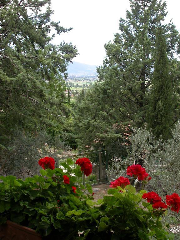 Agriturismo I Mandorli เตรวี ภายนอก รูปภาพ